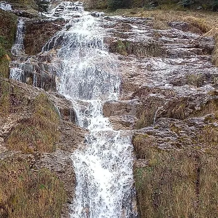 Les Myrtilles La Pierre Saint Martin