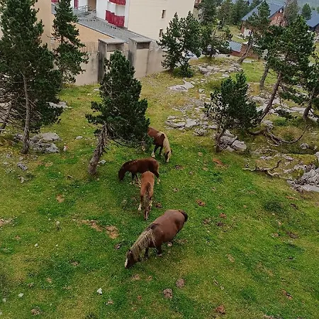 Les Myrtilles La Pierre Saint Martin דירה