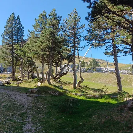 Les Myrtilles La Pierre Saint Martin דירה