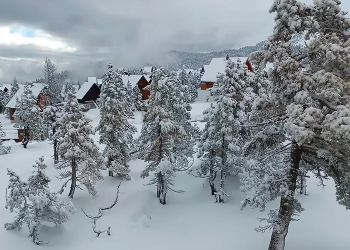 Les Myrtilles La Pierre Saint Martin Apartamento Arette