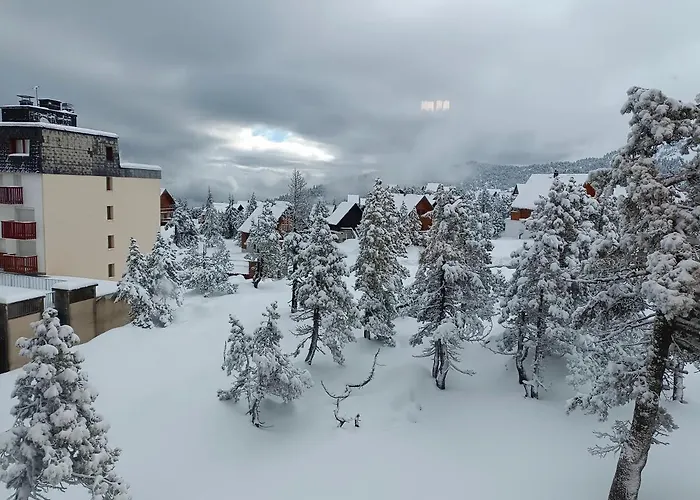 Les Myrtilles La Pierre Saint Martin * Arette