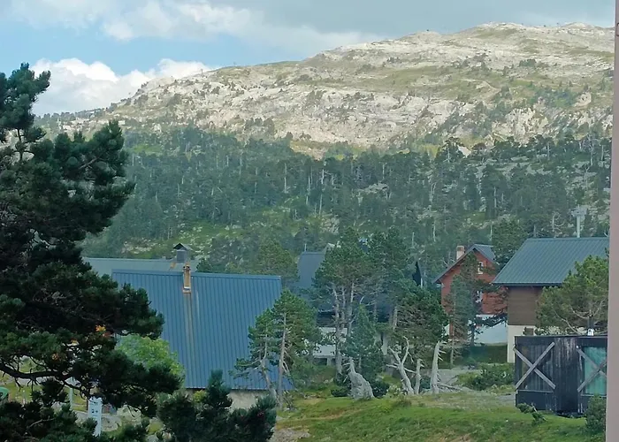 Les Myrtilles La Pierre Saint Martin