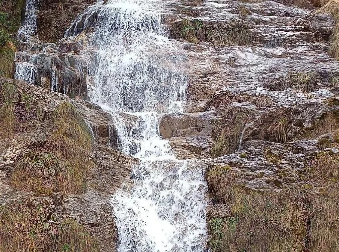 Les Myrtilles La Pierre Saint Martin