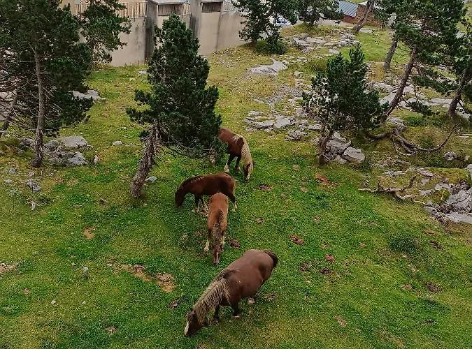 Les Myrtilles La Pierre Saint Martin Apartamento