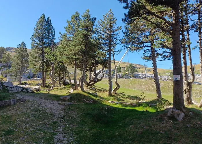 Les Myrtilles La Pierre Saint Martin Apartamento